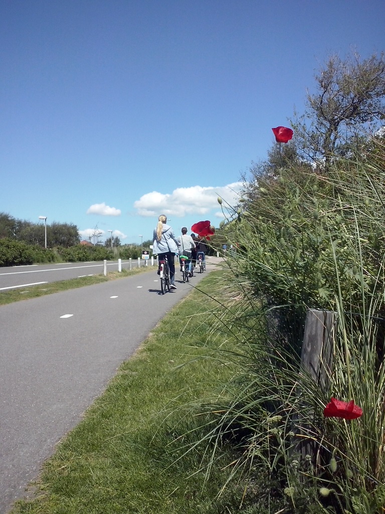 Locatie fietspad westerduinweg