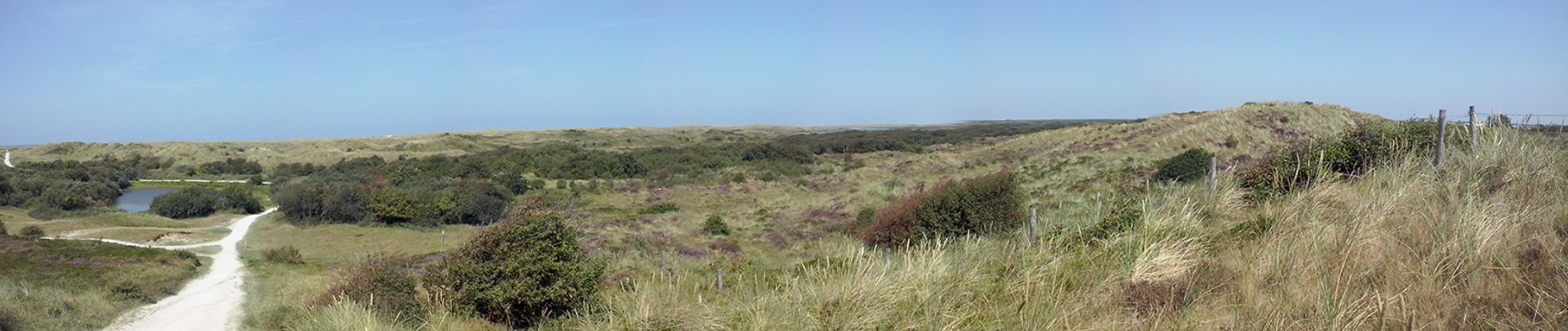 Omgeving duinpanorama