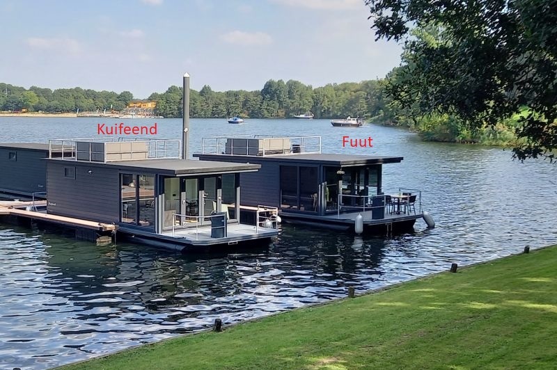 Mookerplas Kuifeend-Fuut